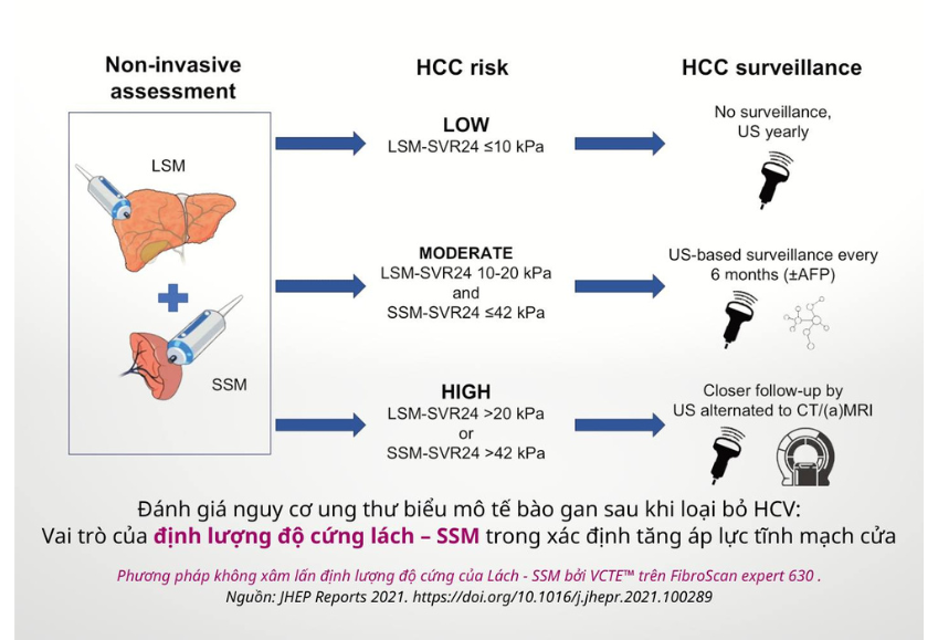 ánh giá nguy cơ ung thư biểu mô tế bào gan sau khi loại bỏ HCV